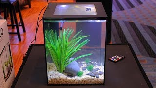 Solo Desktop Aquarium with Remote Controlled LED Lighting