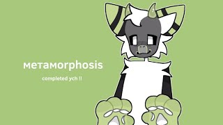 ☆ метамоrphosis [metamorphosis] || animation meme || completed ych