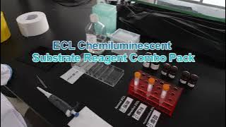 ECL Chemiluminescent Substrate Reagent Combo Pack G2161