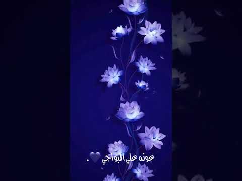 محرم مو محاجي