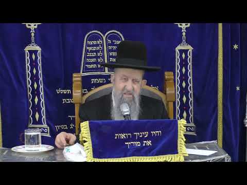 הרב בן ציון מוצפי • דוד מלך ישראל