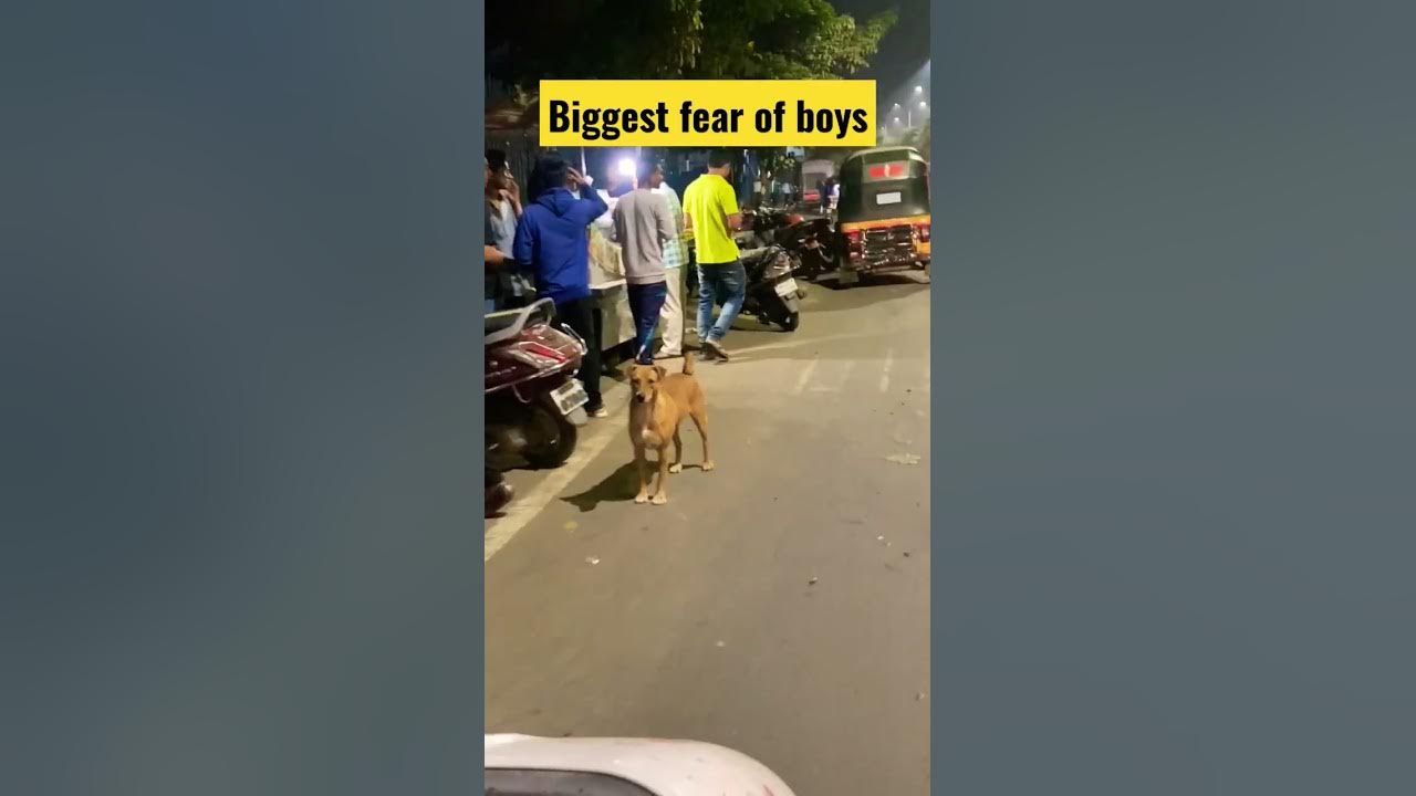 biggest-fear-of-boys-short-trending-youtube