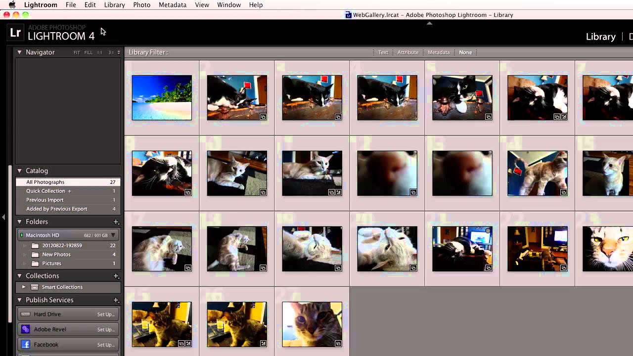 How To Make Lightroom Run Faster YouTube
