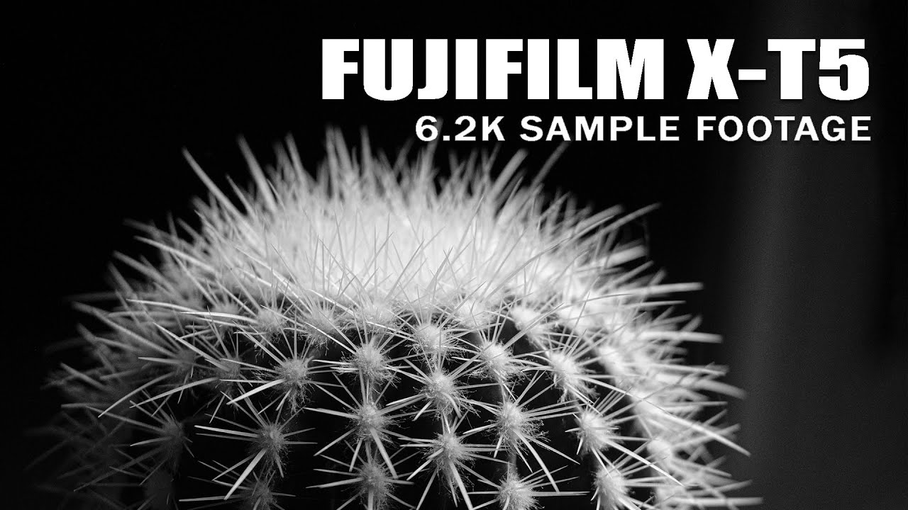 FUJIFILM X-T5 - The First Impressions - Flemming Bo Jensen