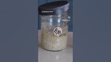 Have you tried making a Rye Starter?! Tap & Hold for more! #sourdough #homesteading