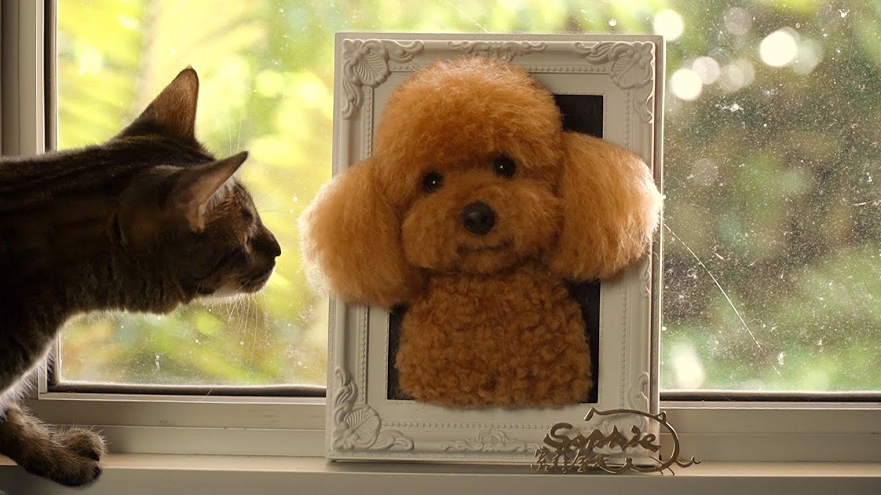 Golden Toy Poodle【Sophie Wool】handcraft needle felted realistic pet cat ...