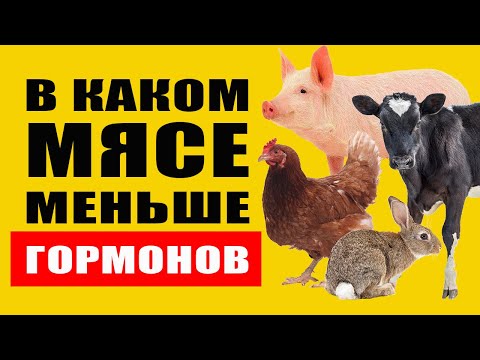 Узнайте В Каком Мясе Нет Гормонов и Антибиотиков