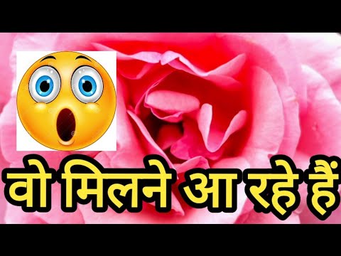 हिंदी ♥️TIMELESS♥️उनकी वास्तविक भावनाएं आपके लिए क्या है - Current Feelings Next Step Tarot Reading