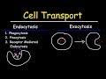 Cellular Bulk Transport: Understanding Endocytosis and Exocytosis