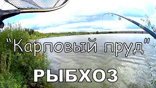 Карп утащил удочку. Рыбалка в рыбхозе &quot;РАКОВО&quot;.Сентябрь.Ветер ураган.Пасмурно