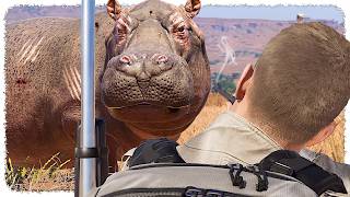 I Hunted AFRICA'S Most Dangerous Animals... (they fought back) | Way of the Hunter 2
