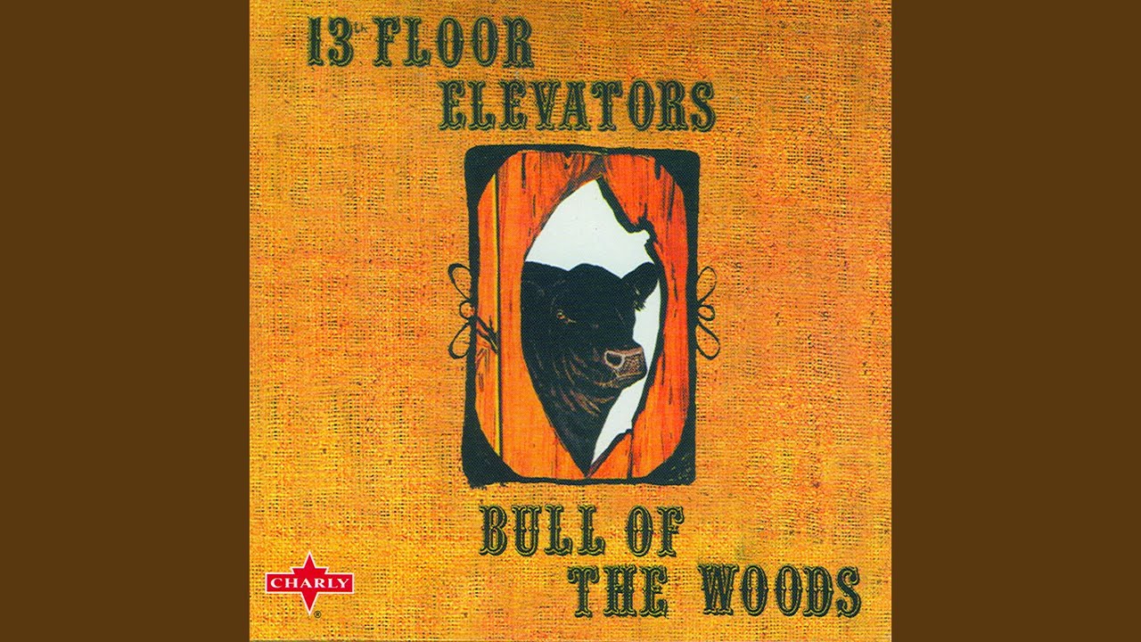 The 13th Floor Elevators Dr Doom Lyrics Genius Lyrics