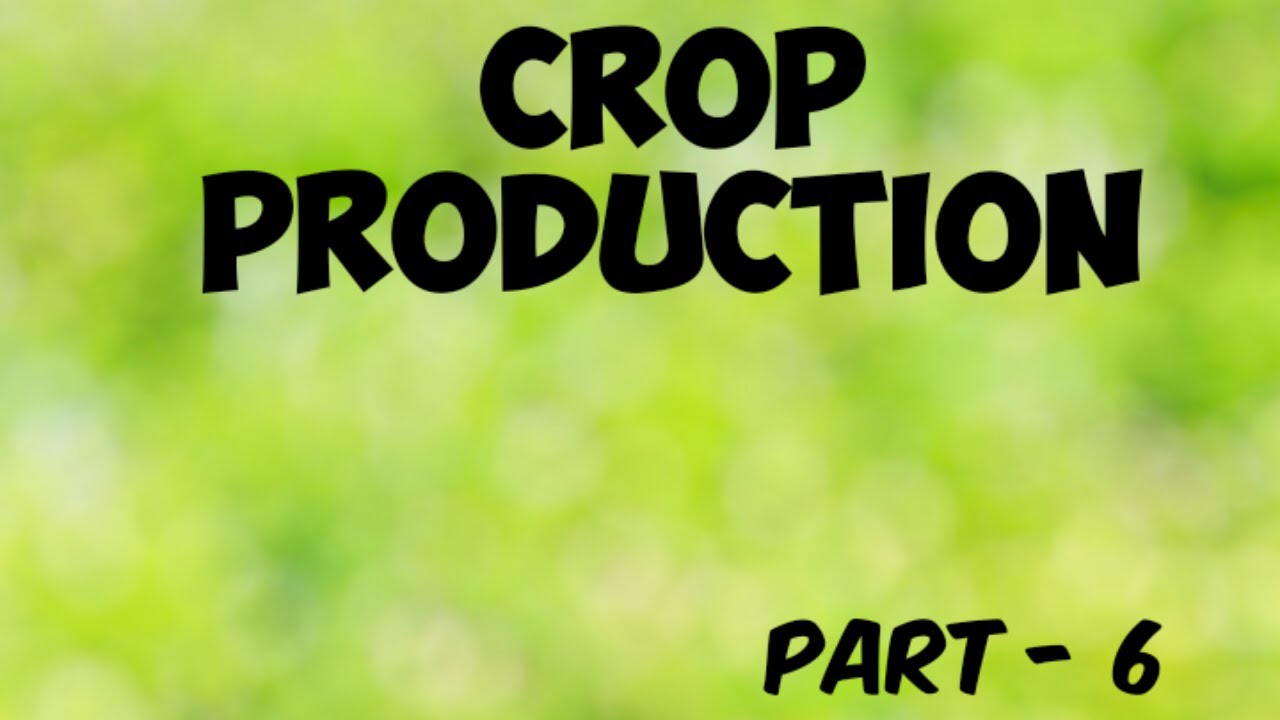 CROP PRODUCTION PART 6 YouTube