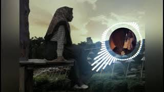 Laba laba ( Anggung c. sasmi )