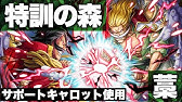 トレクル Optc バナロ島の決闘 Vs黒ひげ 8 9 0倍 Youtube