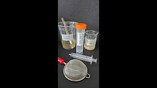 Encapsulating Yeast with Sodium Alginate for Biology Experiments