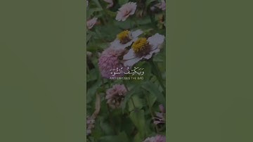 ماتيسر من سورة النمل #قران #حالات_واتس_آب #دينيه