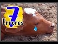 7 Errores de los Ganaderos