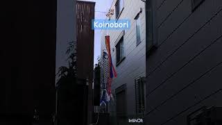 Todays Kodomo No Hi Childrens Day Festival In Japan