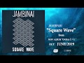 Jambinai   square wave official audio stream