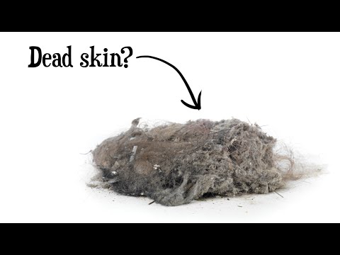 ⁣Is Dust Mostly Dead Skin Cells?