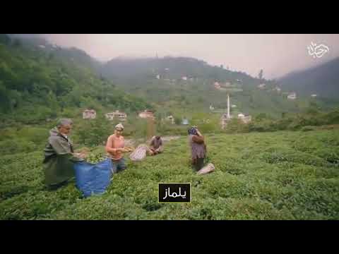 وقال ياأيها الناس علمنا منطق الطير وأوتينا من كل شيء إن هذا لهو الفضل المبين