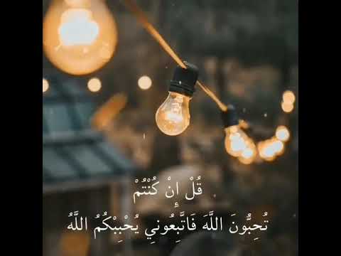 ق ل إ ن ك نت م ت ح ب ون الل ه اسلام صبحي تلاوة تريح القلوب حالات واتس اب قرآن