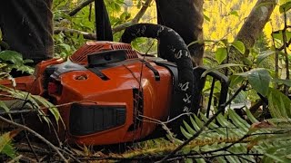 Timber Talk