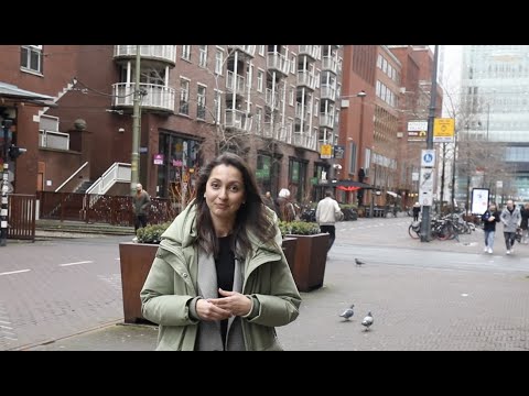 Brief introduction of Bachelor Security Studies at Leiden University Netherlands