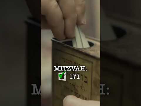 Many halves make a whole... DSH #59