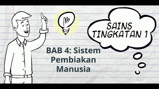 Sains Tingkatan 1 Bab 4: Sistem Pembiakan Manusia