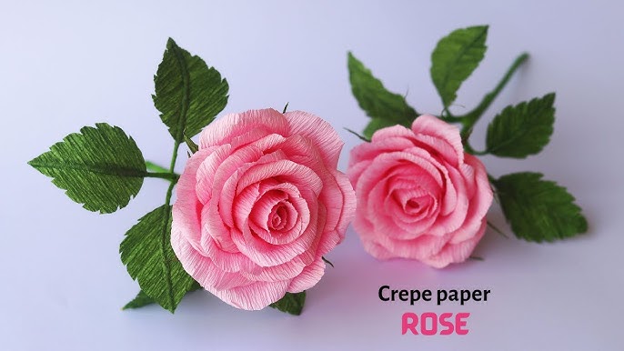 Pink Crepe Paper Flower Craft Kit By The Danes