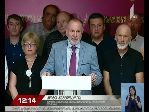 „გამარჯვებული საქართველოს“ ბრიფინგი