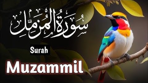 Surah Muzammil Full II Quran Times With Arabic Text (HD) سورة المزمل