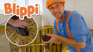 Blippi Visits Tanaka Farm | Healthy Eating Videos For Kids | Educational Videos For Kids