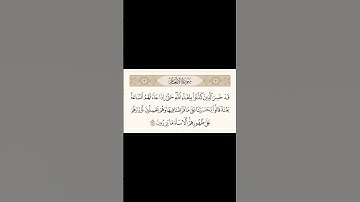 #محمد_ايوب #القران_الكريم #تلاوة_خاشعة #قرآن #قران #القرآن_الكريم