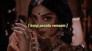 konji pesida venaam (slowed   reverb)