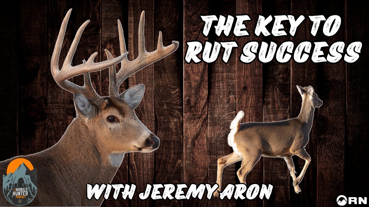 Is hunting BEFORE or AFTER a weather front better? | Factors for better ...