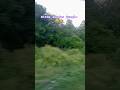 #forestlife #relatable #adventure #travel #travelshorts #viral #nature #blogger #train #artshorts