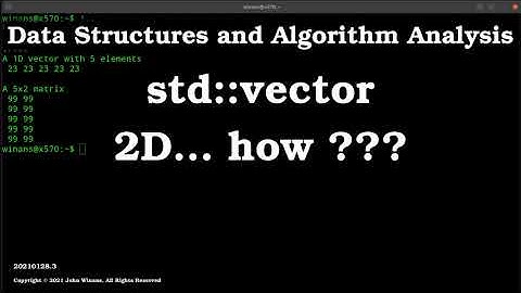 How to create a 2D vector with std::vector