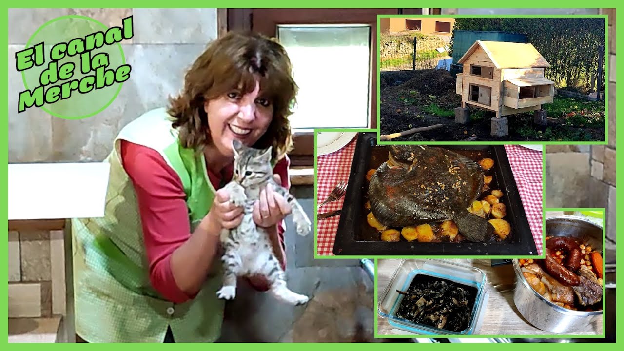 S46/2023: NUEVO GALLINERO, CALAMARES EN SU TINTA Y RODABALLO