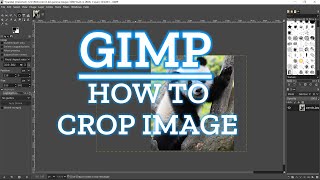 Gimp How To Crop Image