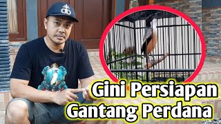 HARI INI PINGIN NYOBAIN GANTANG SATU BAHAN BURUNG CENDET || PERSIAPANNYA SEPERTI INI