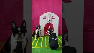 Dogs dressed up as Masked Singer Season 3