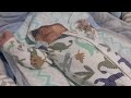 Noah 30 dias | Mais uma benção para a Família | Perigo de bebês e lençois