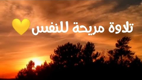 اجمل حالات واتس اب دينيه/قرآن كريم بصوت جميل جدا جداا 💜 مريحة للنفس  Quran States