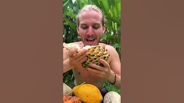 The Biggest Durian In The World