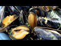 Recette  moules de bouchot en crme lgre et acidule