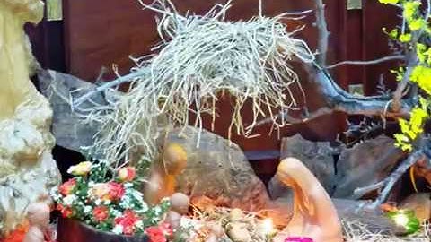 Dòng Tiểu Muội Thánh lễ Tạ ơn - Làm phép nhà