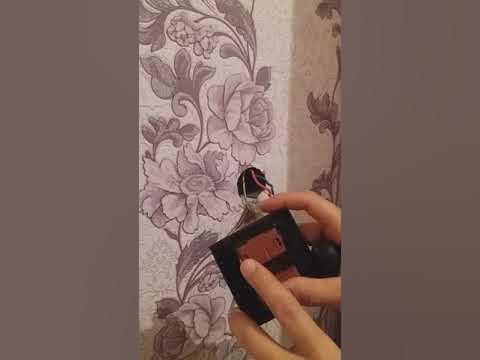 Lubniy shahrining fohishalari Yalangoch qizlar cholgu asboblarini chalishmoqda